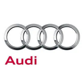1k0-199-555-n Audi Genuine Gear.mount