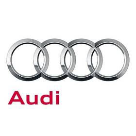 Audi 1k0-199-555-t Genuine Gear.mount