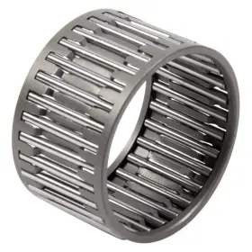Sg-1069 Bert Transmissions Transmission - Radial Cylindrical Roller Bearing