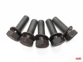 24531421167 Bmw 1997 540i 528i 525i 530i E39 A5s560z 440z Output Cover Bolt Set 5pc 1421167