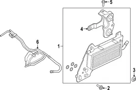W720882-s442 Ford Genuine Trans Cooler Bolt