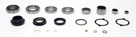 Stck246 Skf Transfer Case Overhaul Kit