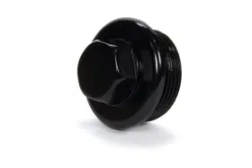 3261 Winters - O-ring Insp Plug 1-7/8in