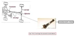 Front Drive Shaft Oem 19-25 Chevrolet SILVRDO15 1YR Wrnty 85075685 Used. Price: $100.00.