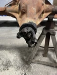 International Harvester Scout 800 Locking Front Hub &!axle Differential Used. Price: $485.00.