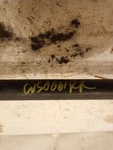 Axle Shaft Rear 3.6L Vin 8TH Digit Fits 15-23 Challenger 3126732 Used. Price: $69.00.