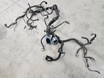 Used 2008 Silverado Diesel Lmm Engine Wire Harness 6.6 Ship Los Angeles. Price: $1075.92.
