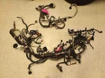 2014 2015 Dodge Ram 150 3.0L Diesel Auto 4X4 Engine Wiring 48852034F 68196356AF Used. Price: $949.00.
