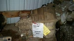 Transfer Case 4WD Part-time Electric Shift Fits 99-01 Mountaineer 9884967 Used. Price: $337.96.