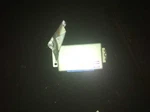 92 Nissan Stanza Chassis Ecm Transmission Module Used. Price: $59.39.