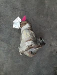 Front Axle 3.73 Ratio Fits 09-14 Ford F150 Pickup 305964 Used. Price: $230.00.