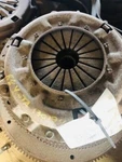 Manual Flywheel/flex Plate Transmission 2WD Fits 75-95 Toyota Pickup 6856 Used. Price: $86.64.