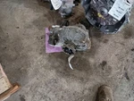 2019 Cadillac CT6 Rear Carrier 3089856 Used. Price: $344.00.