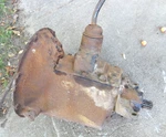 1942 1946 1947 Ford Pickup Speed Transmission Assy Original V-8 Open 3" Fork Used. Price: $850.00.