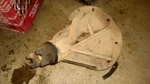 Rear Axle Carrier Assembly 2.87 Open Ratio Fits 1960 Pontiac 1823 Used. Price: $150.00.