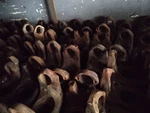 Used 1810 Series Dana Spicer Spline Yoke 6.5-4-2361X. Price: $139.50.