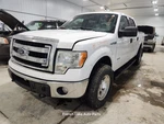 Rear Axle Assembly 8.8" 3.55 Posi Ratio Fits 12-14 Ford F150 1309139 Used. Price: $250.00.