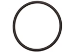 Oe GM338926 Transmission Servo Cover SEAL,44362, THM350, THM250C New. Price: $5.49.