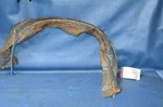Nos 1984-87 Chevy Cavalier 2D/CONV Lh Rear Wheel Lip Molding Edge Trim 20495539 New. Price: $100.00.