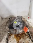 2008-2010 Infiniti M45 Transfer Case Awd Automatic Transmission Oem Used. Price: $308.95.