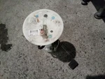 Giulia 2021 Flywheel/flex Plate 318958 Used. Price: $75.00.