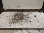 Rear Drive Shaft 4WD Door Fits 95-00 Sportage 577772 Used. Price: $204.44.