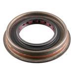 National 711069 Differential Pinion Seal New. Price: $30.99.