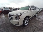 Rear Drive Shaft 4WD Id Abgl Fits 15-17 Escalade Esv 12631004 Used. Price: $323.84.