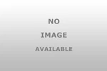 Dorman 624 167 Transmission Line New. Price: $54.05.
