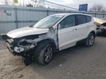 2013 Ford Escape Right Front Axle Shaft 1.6L Fwd Used 121K Miles Oem 447-03153R. Price: $84.95.