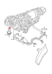 Genuine Audi Vw A4 Avant S4 Quattro Cabrio O-ring 09E409069 New. Price: $12.23.